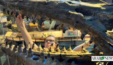 Fearsome dinosaur-era marine reptile was the T. rex of the sea