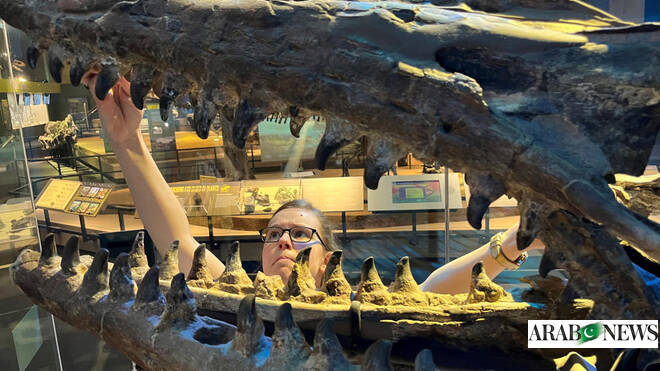 Fearsome dinosaur-era marine reptile was the T. rex of the sea