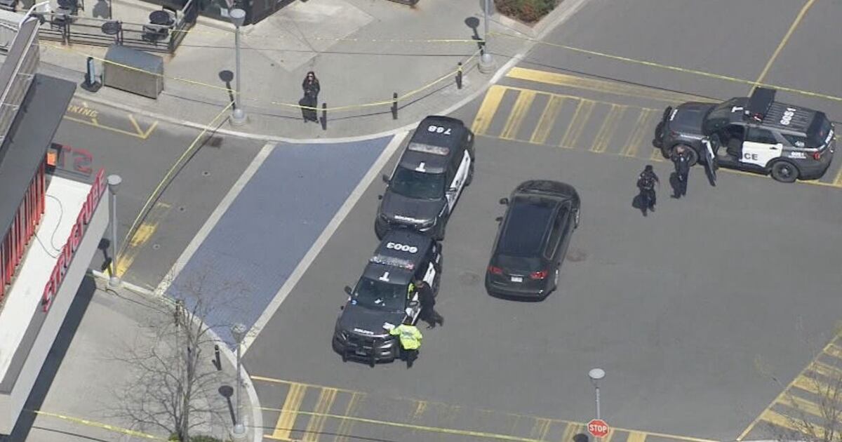 Don Mills Lawrence Ave collision: Pedestrian killed in crash