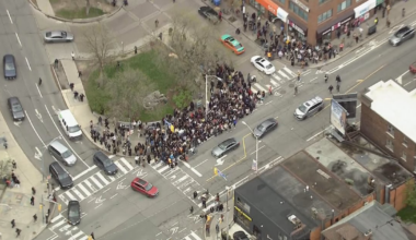 TTC subway service between Jane and Ossington stations resumes