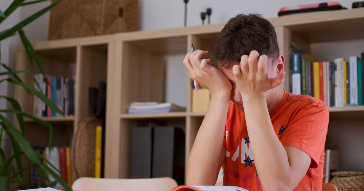 Dr Phil Kieran: Should we manage our son’s Leaving Cert anxiety with medication?