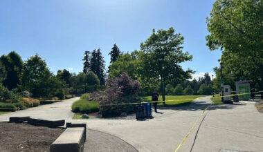 Suspect in fatal stabbing shot dead by Surrey police near Holland Park