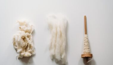 From water filtration to tooth enamel repair, wool’s intricate protein structure is finding new uses in biotechnology and medicine