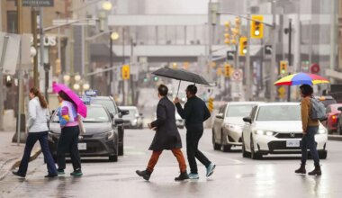 public servants back office ottawa