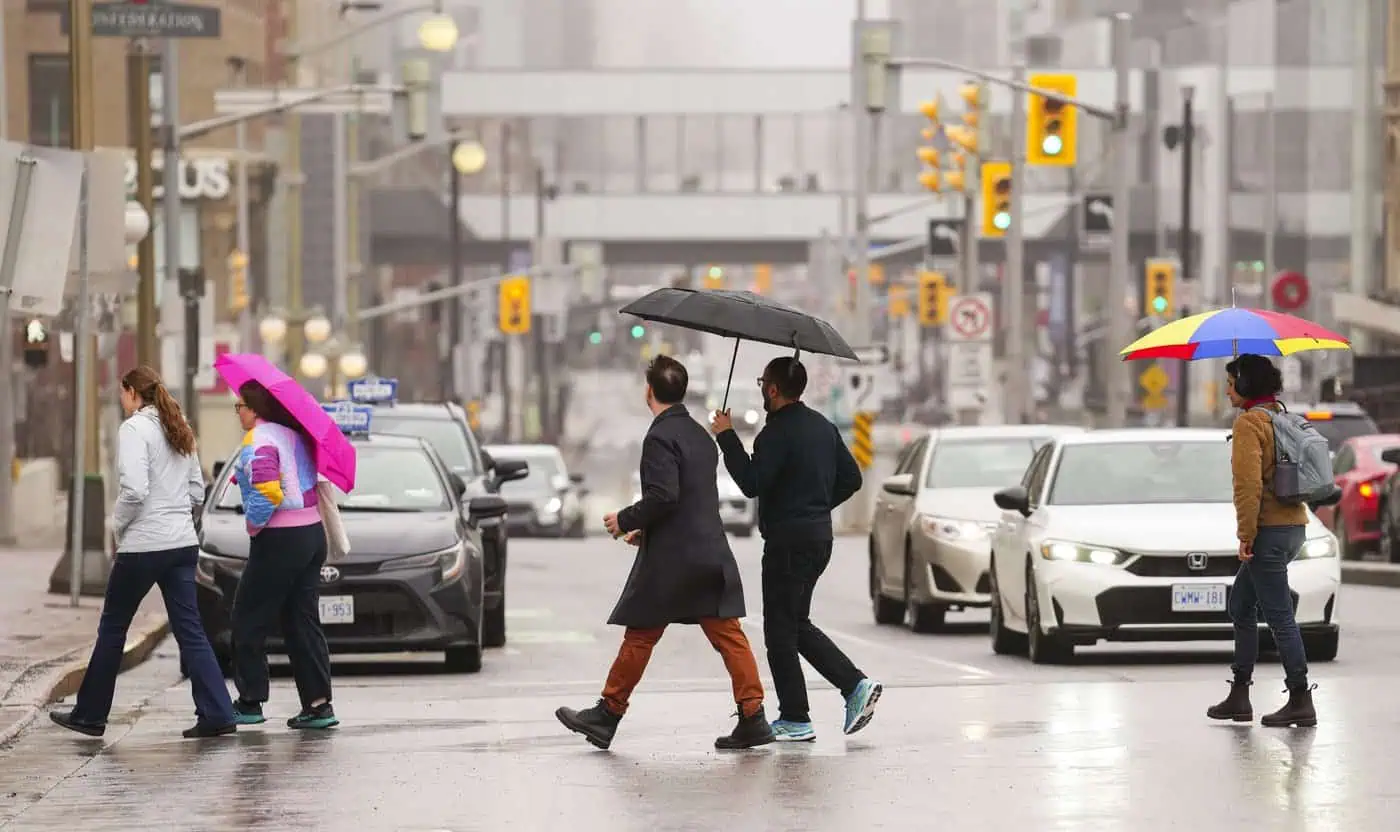 public servants back office ottawa