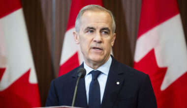 Ottawa's plan to double electricity grid 'one step forward and two steps back,' say environment experts - The Hill Times