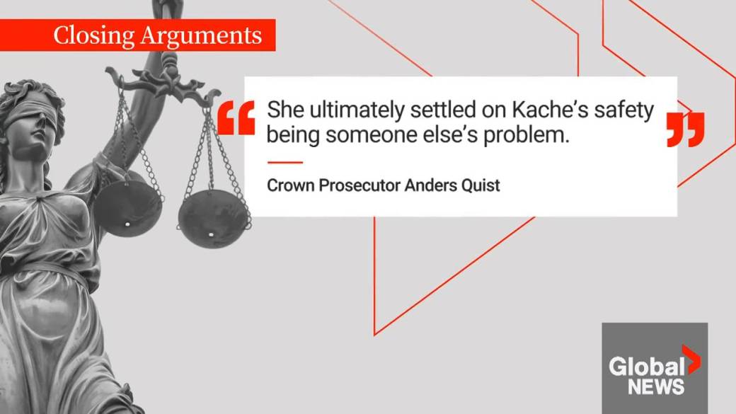Click to play video: 'Closing arguments in Summerside dog attack trial'