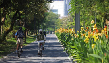 Bangkok Post - Sports thrive amid ailing economy