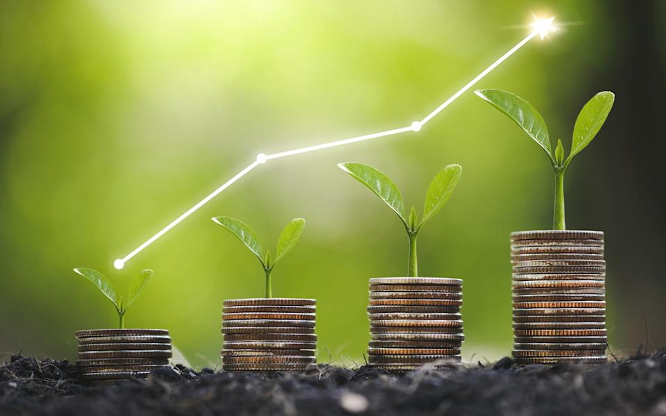 Four stacks of coins in ascending order, with green plants growing out of the top of each stack.