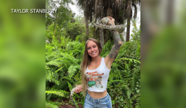 2026 Florida Python Challenge set to begin, hunters primed for action | State