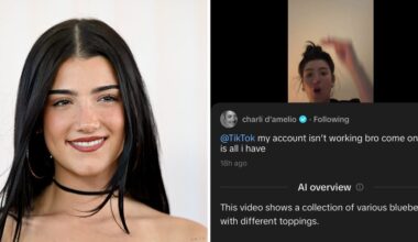 TikTok Is Pulling Back on Testing an AI Feature That Went Haywire