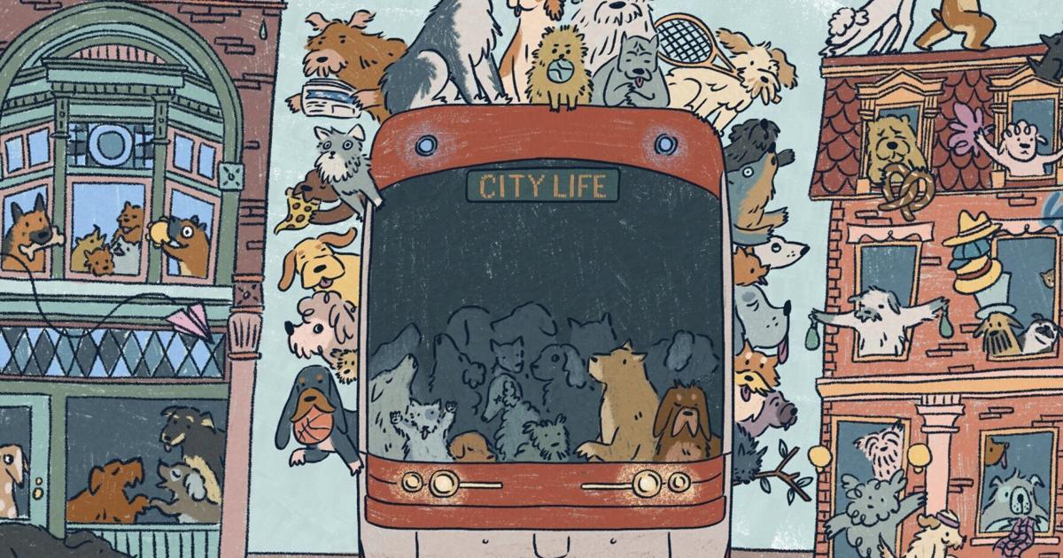 Toronto has seen a boom of dogs and human-canine tension