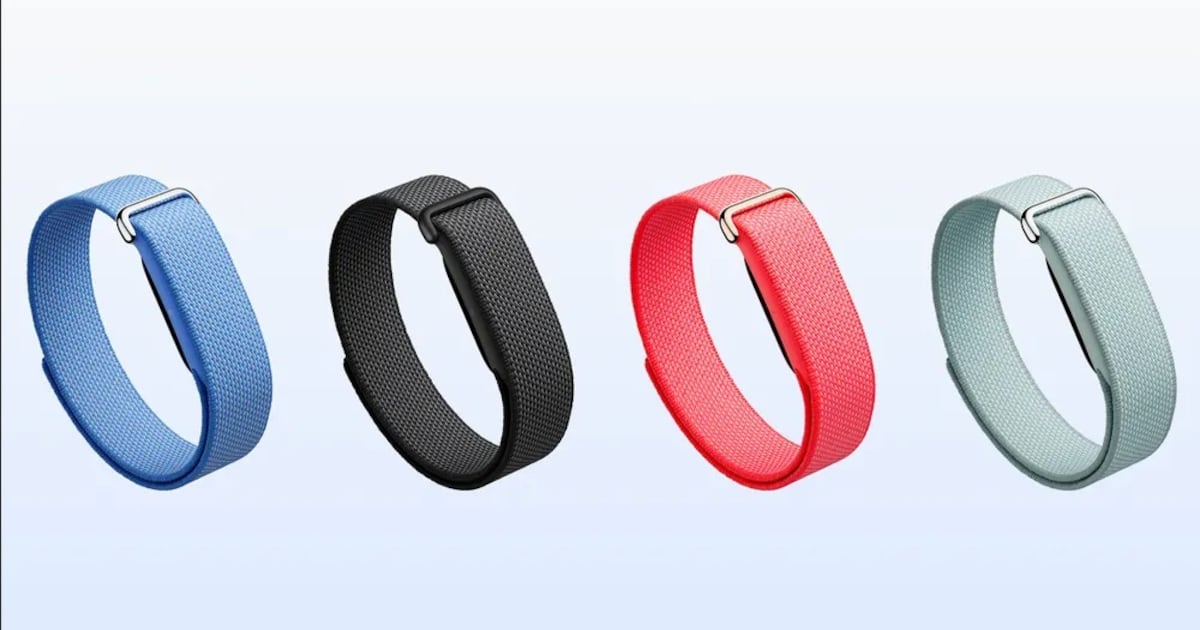 For €99, the Google Fitbit Air tracks your health and nothing else. That’s a good thing – The Irish Times