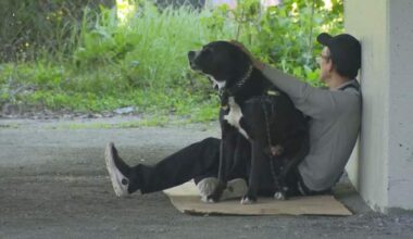 ‘No-go zone’: Vancouver homeless man claims he was told to move ahead of FIFA - BC