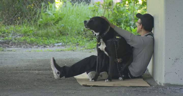 ‘No-go zone’: Vancouver homeless man claims he was told to move ahead of FIFA - BC
