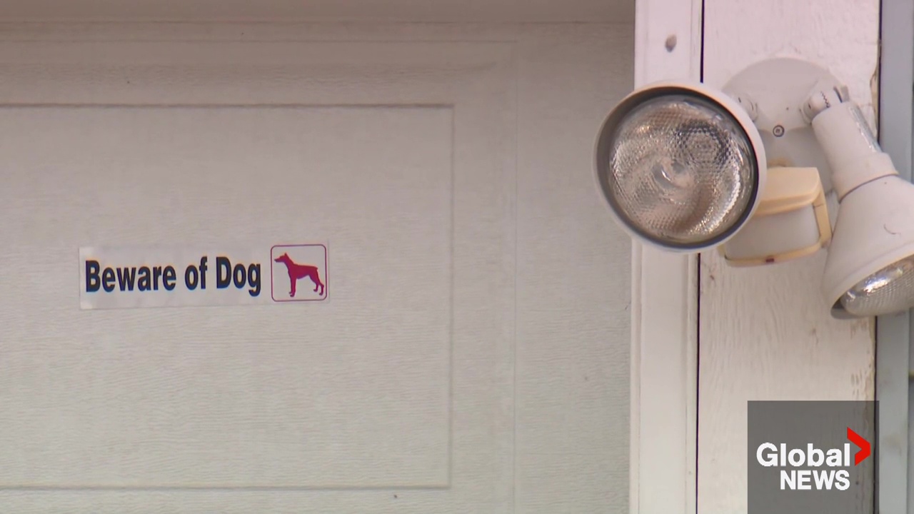 Click to play video: 'Osoyoos boy killed in Edmonton dog attack'