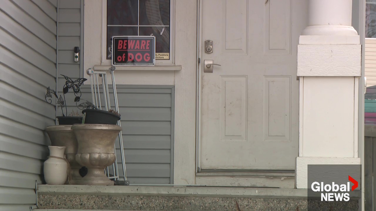 Click to play video: 'Woman hospitalized after attack by 2 dogs at same Edmonton home where boy died: lawyer'