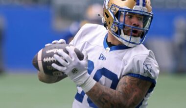 ‘A hell of a story’: Bombers’ Ceresna intrigued by new CFL playoff format | Local Sports