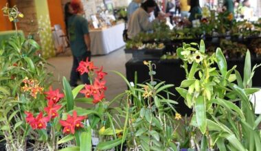 Toronto Botanical Garden to host its spring plant sale