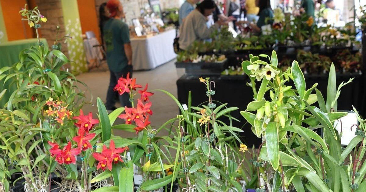 Toronto Botanical Garden to host its spring plant sale
