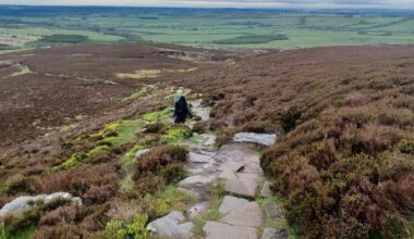 Why We Should Walk Downhill More Often As We Age