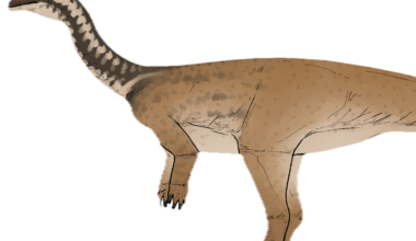 New dinosaur species found in China bridges key gap in evolution of colossal plant-eaters