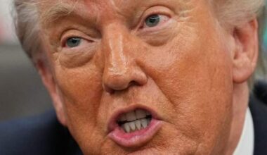 Trump says he’ll raise EU auto tariffs to 25% next week over trade dispute - National