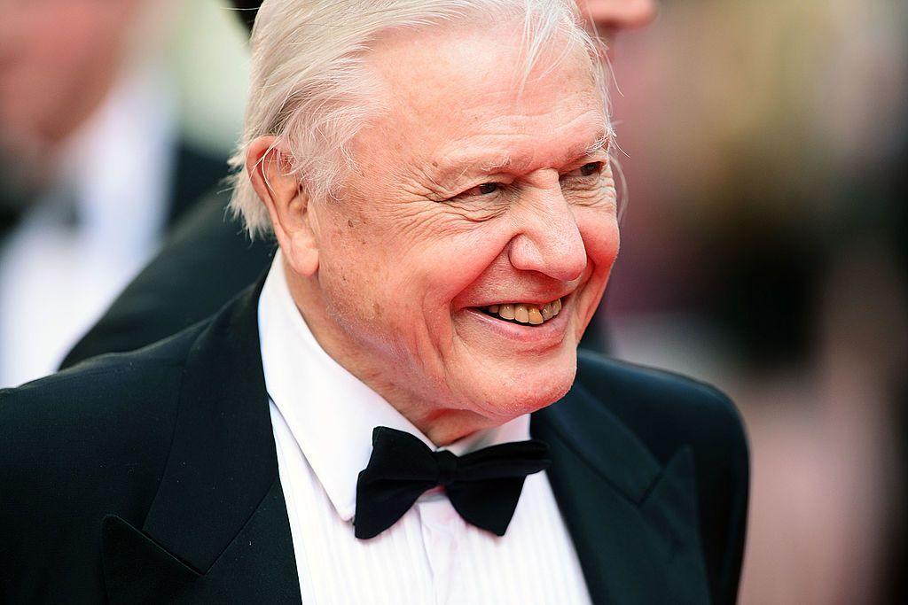 Baby born on Attenborough's 100th birthday named after environmentalist