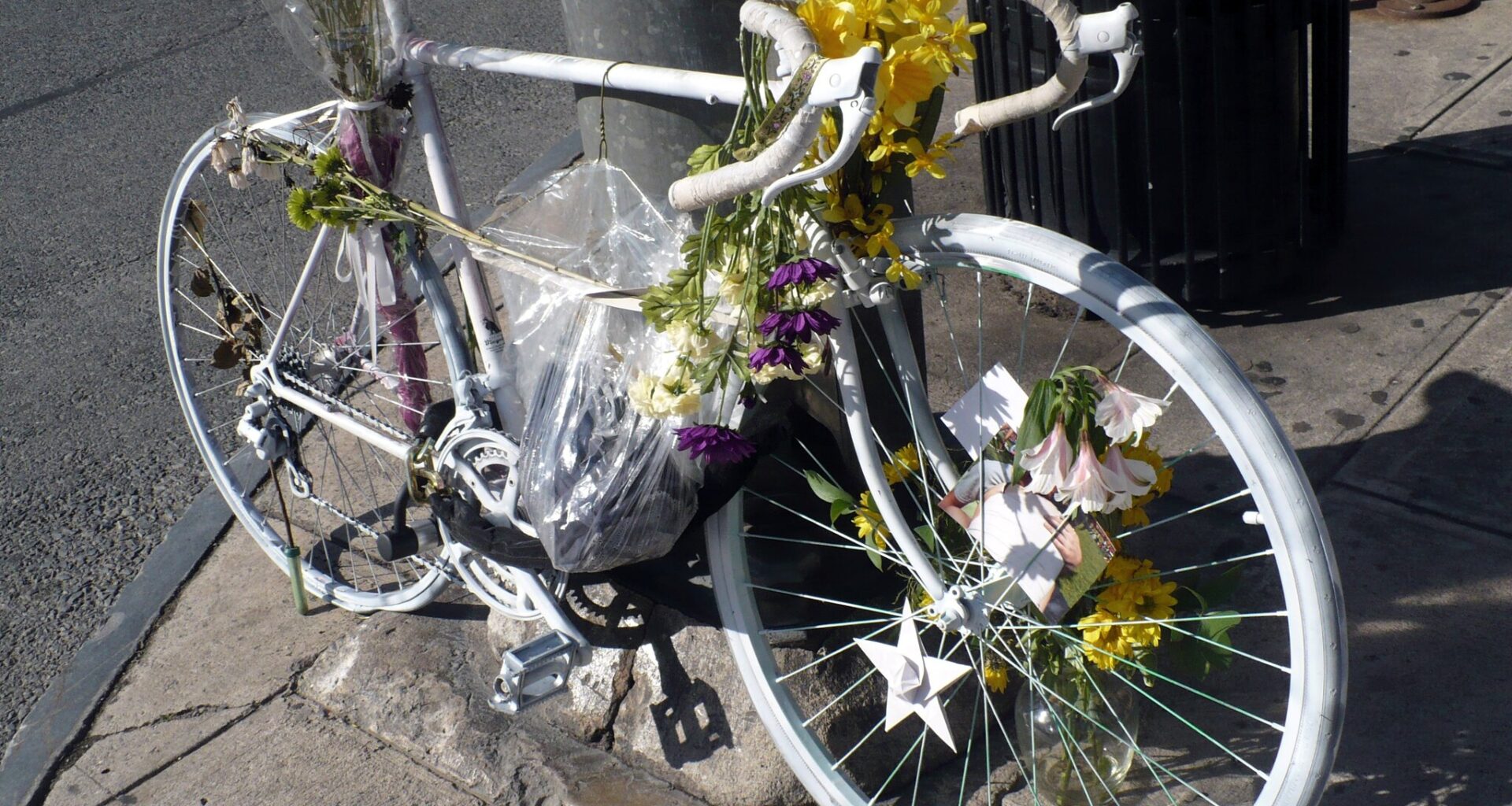 Cycling Fatalities Skew Male—But Not in Every State - Cycling West