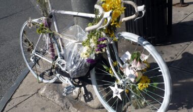 Cycling Fatalities Skew Male—But Not in Every State - Cycling West