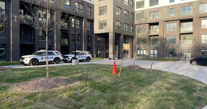 Police urgently searching for missing newborn baby in Halifax - Halifax