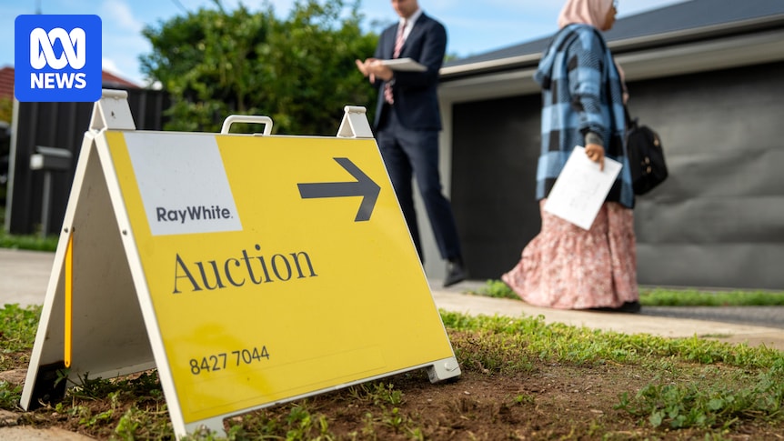 Housing market 'levelling out' as interest rate hikes place pressure on buyers
