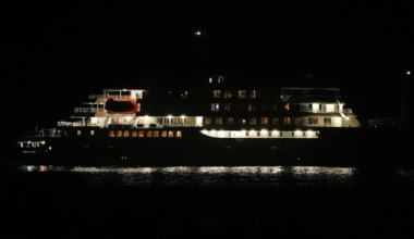 WHO says deadly hantavirus on cruise ship may be transmitted among humans
