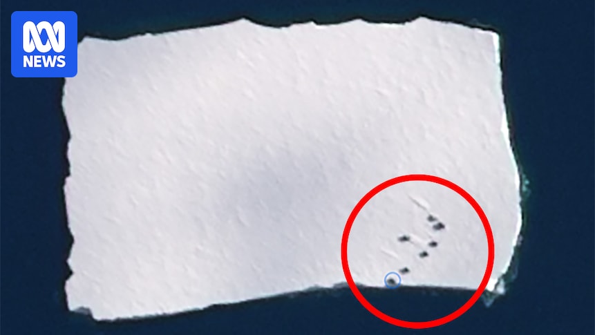 Antarctic station discovers its shipping containers floating away on iceberg after blizzard