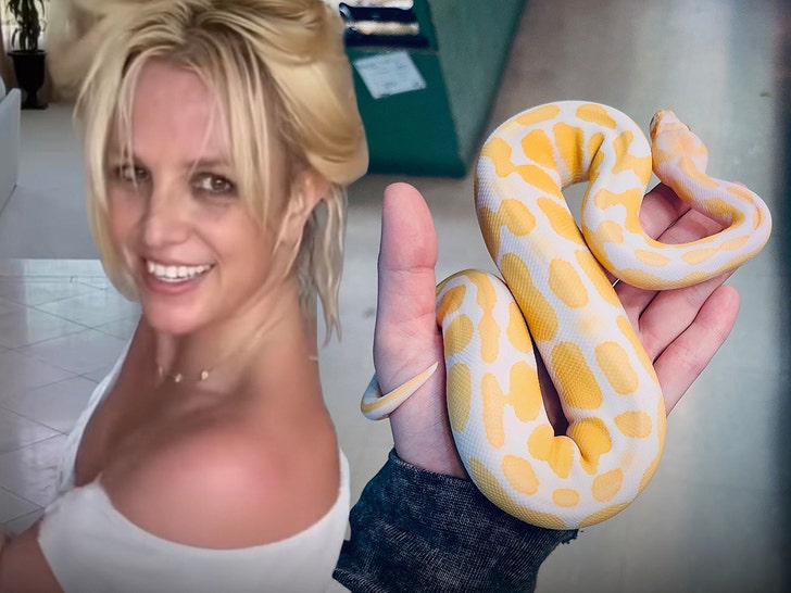 britney spears snake insta 1