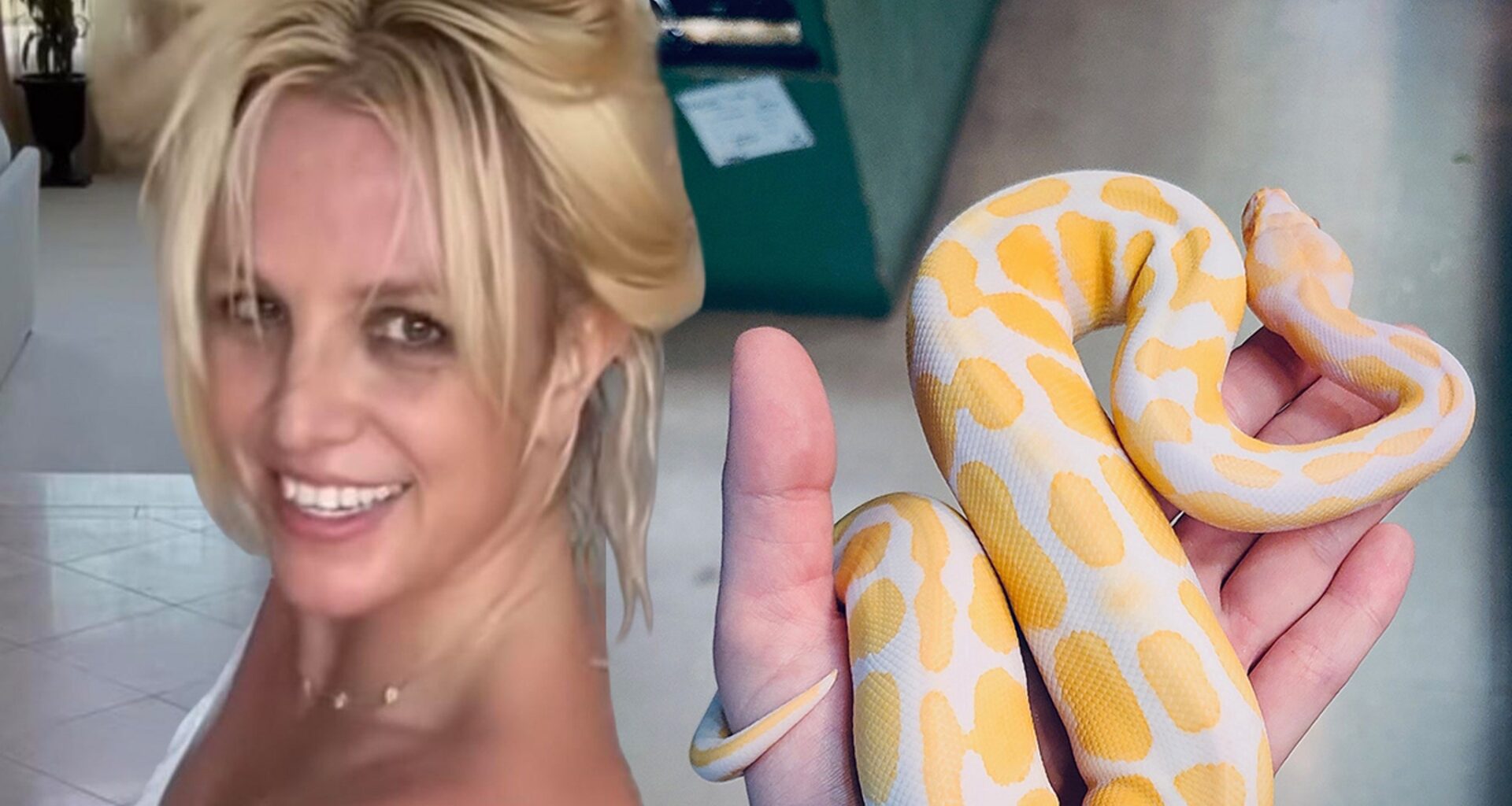 Britney Spears on a ‘Spiritual Journey’ Post-DUI Plea Deal, Posts Photo of Snake