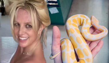Britney Spears on a ‘Spiritual Journey’ Post-DUI Plea Deal, Posts Photo of Snake