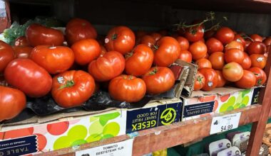 Tomatoes become latest symbol of America’s affordability squeeze