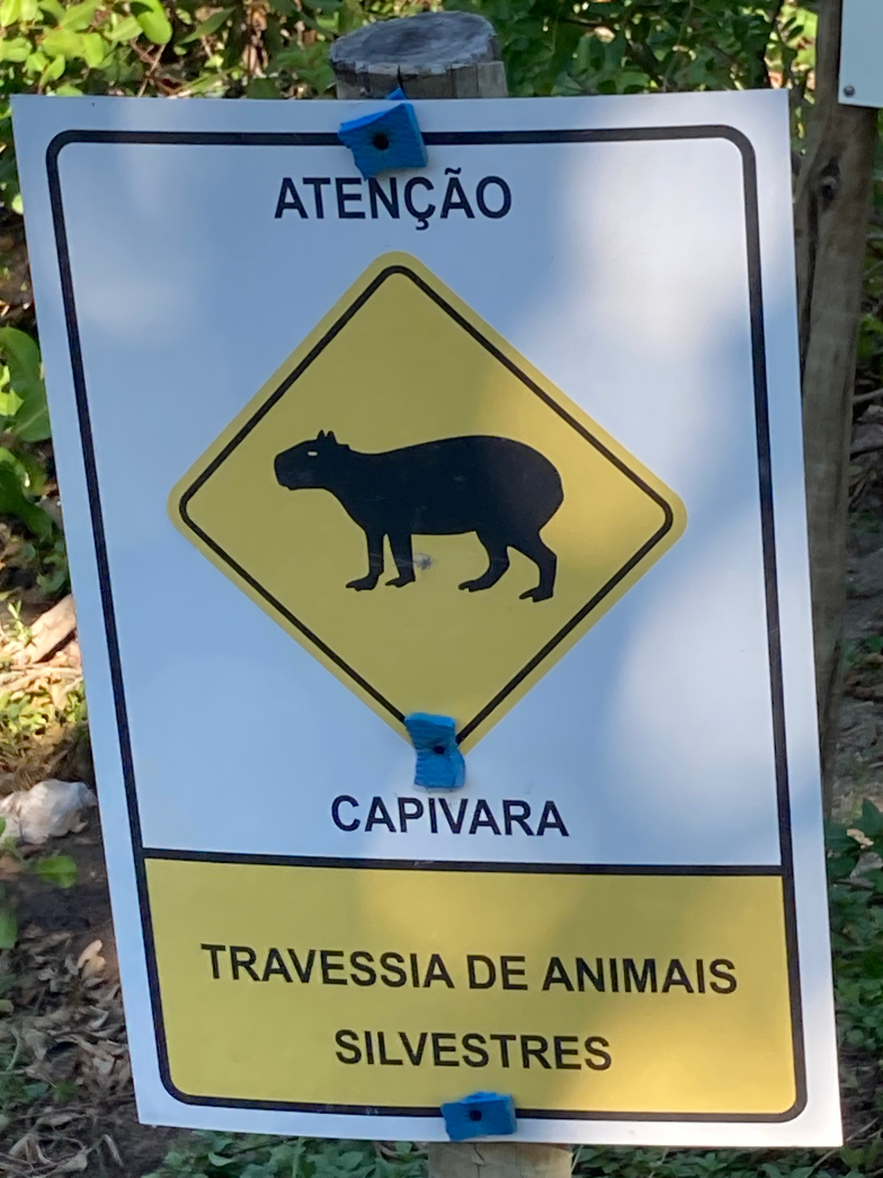 A sign with a picture of a capybara and information in Portuguese.