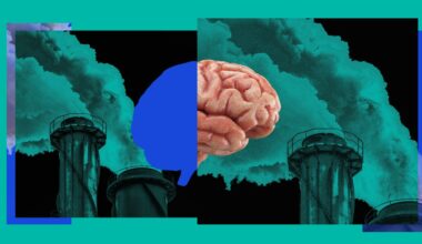 Everyday Air Pollution Linked to Poorer Brain Function