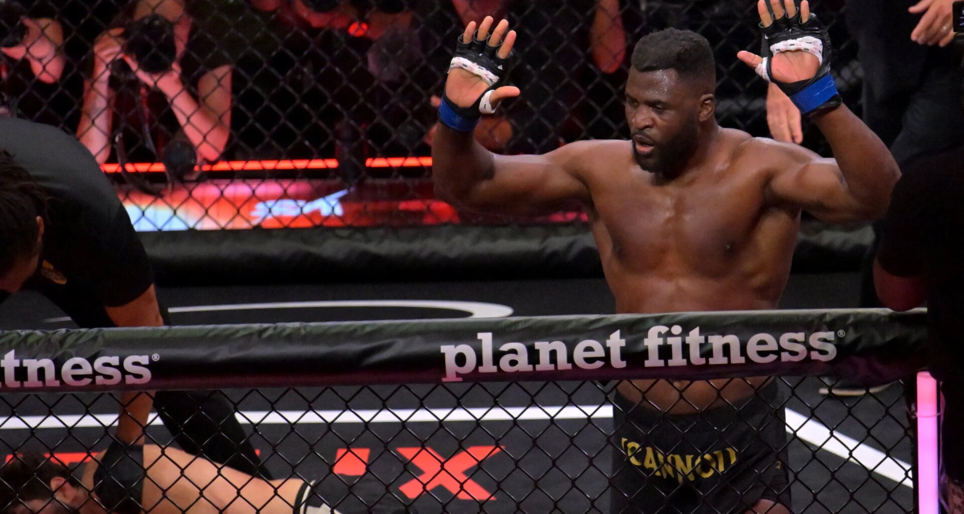 Francis Ngannou entertains idea of fighting heavyweight KO artist next