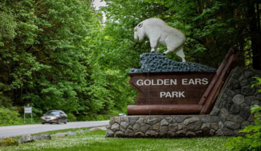 2 new buses will service Metro Vancouver regional parks this summer