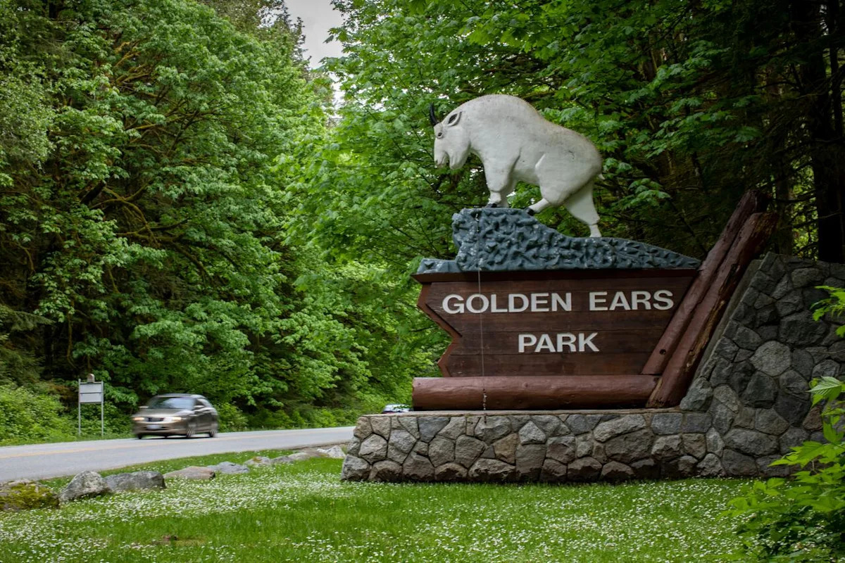 2 new buses will service Metro Vancouver regional parks this summer