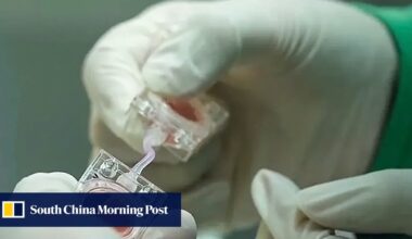 China sends embryos into orbit to find out if humans can have babies in space