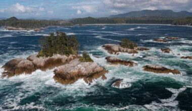 Huge national marine conservation area established off B.C.’s Central Coast