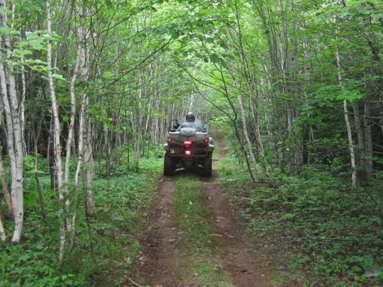 An ATV on a trail through the woods