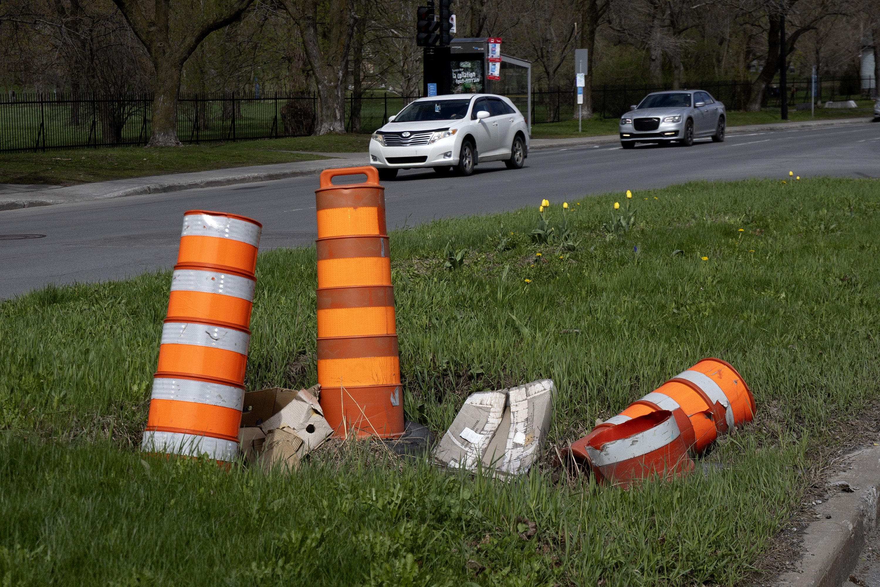 Three orange cones on a road median.