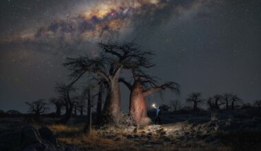 I spent 10 days traveling through Botswana, living out of my car and moving through remote desert landscapes in complete isolation, focused entirely on photographing the night sky