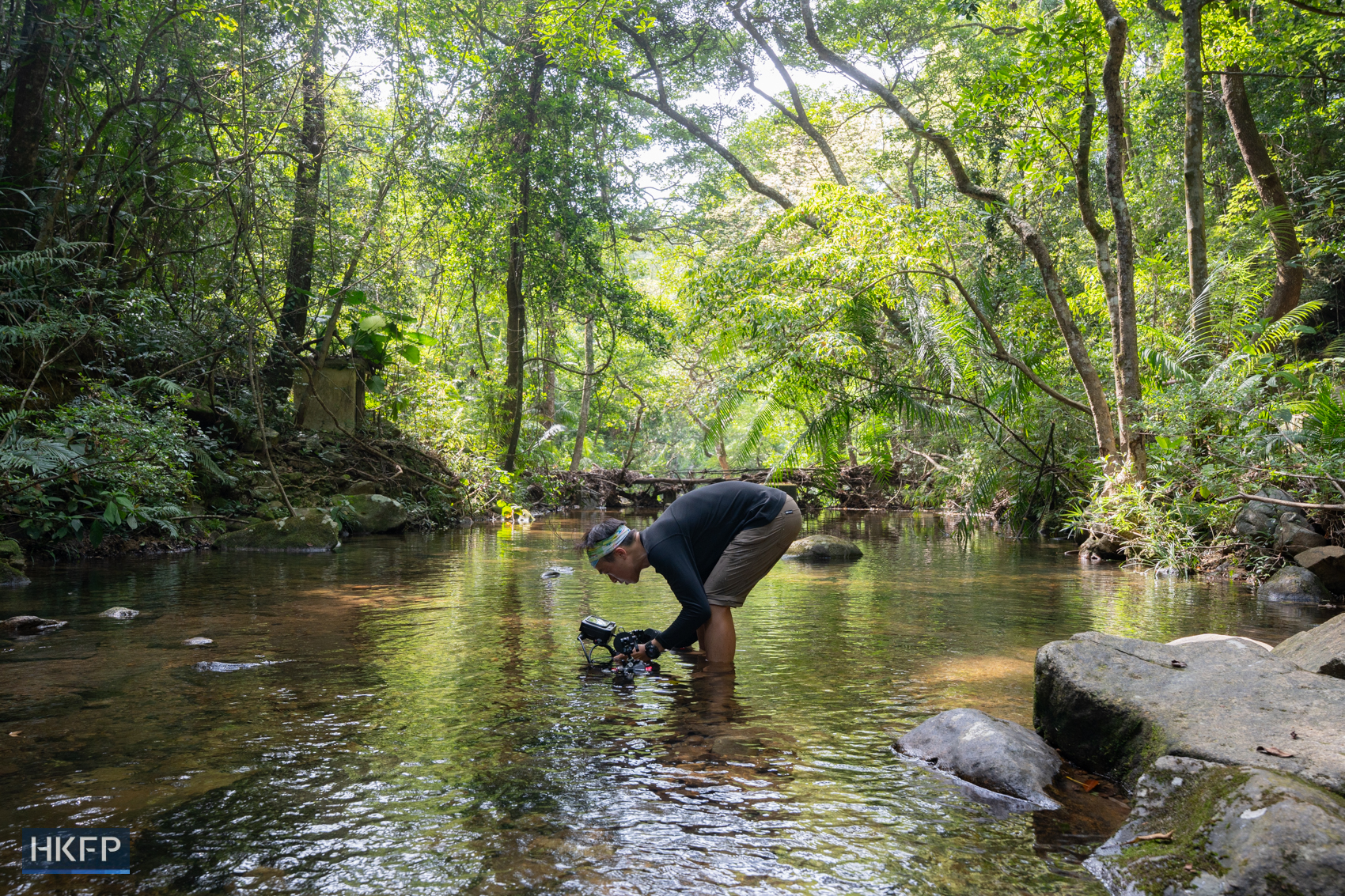 Fung Hon-shing shoots with underwater filming equipment at a stream in Tai Po on July 9, 2025. Photo: Kyle Lam/HKFP.