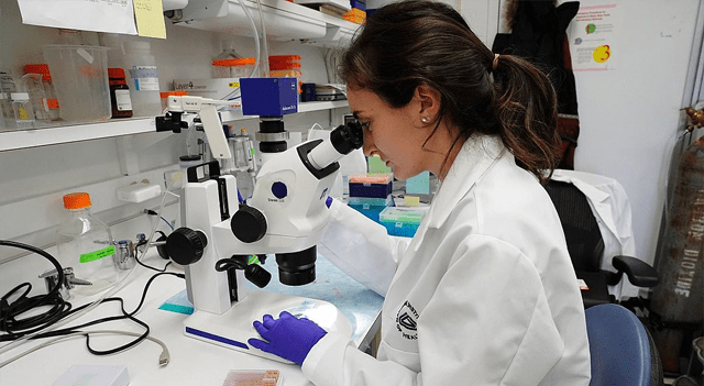 medical research microscope ©NIH Lab Research